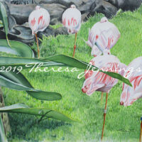 FOR SALE: 2019 Hilton Hawaiian Village Flamingos