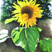 COMMISSION 2020 Andy's Sunflower (PRIVATE COLLECTION)