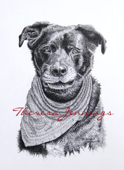 2021-09-23 Riggs - pen and ink - commission