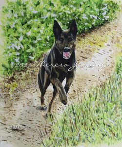 Photo of a watercolor painting of Beta, a German Shepherd