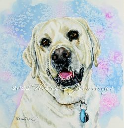 Watercolor painting of a yellow Labrador retriever