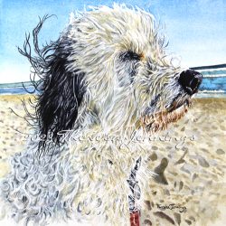 Watercolor of a dog with curly hair on the beach